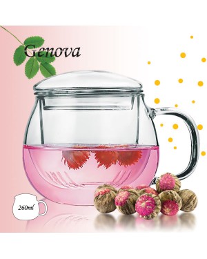 Borosilicate Glass Tea Maker TM-261 Borosilicate Glass Tea Maker TM-261