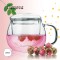 Borosilicate Glass Tea Maker TM-261