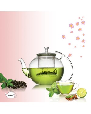 Borosilicate Glass Teapot TP-214 600ml